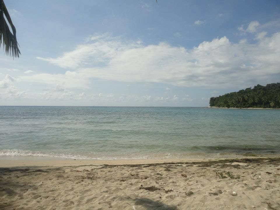 Coastline & Ocean — Dame Marie (photo 16)